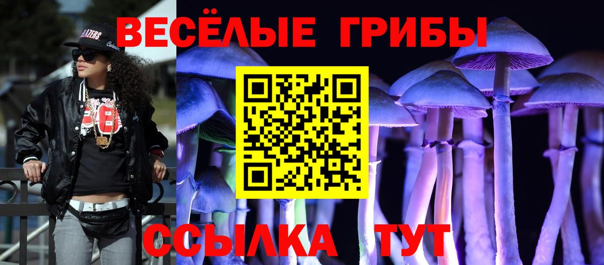 Галлюциногенные грибы Psilocybe Дмитров