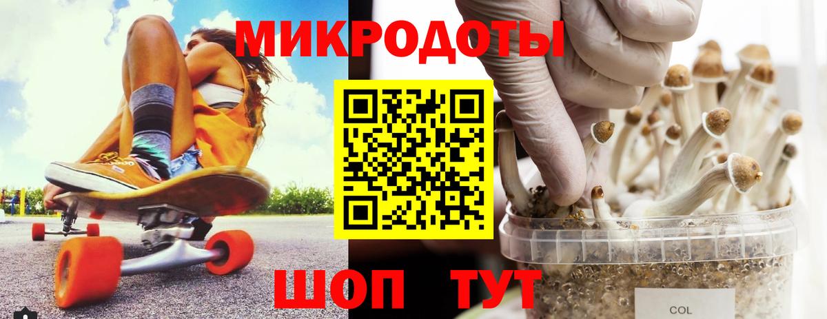 Дмитров  Псилоцибиновые грибы Magic Shrooms  Вход с VPN 